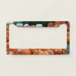 Pumpkins and Mums Autumn Harvest Photography License Plate Frame