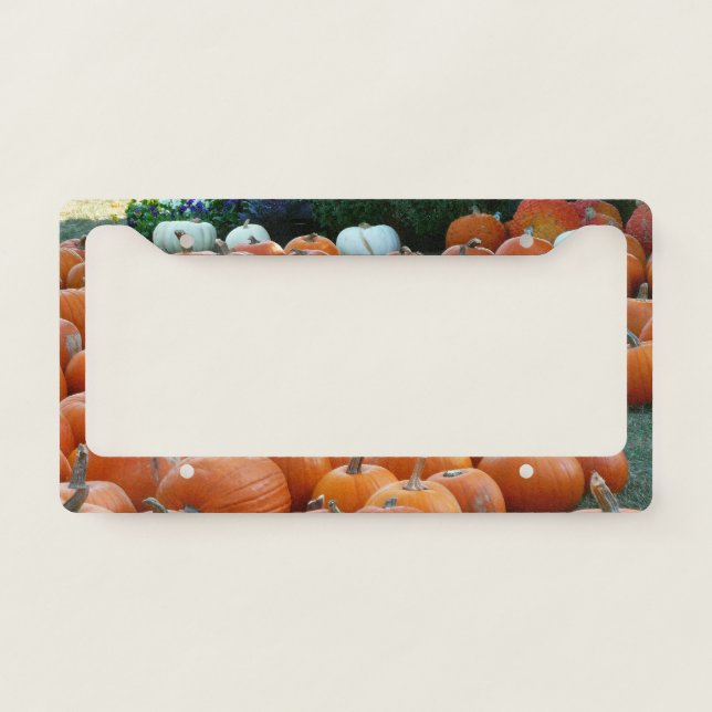 Pumpkins and Mums Autumn Harvest Photography License Plate Frame (Front)