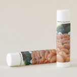 Pumpkins and Mums Autumn Harvest Photography Lip Balm