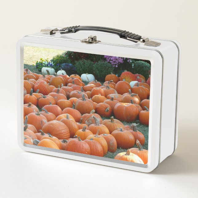 Pumpkins and Mums Autumn Harvest Photography Metal Lunch Box (Front)