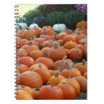 Pumpkins and Mums Autumn Harvest Photography Notebook