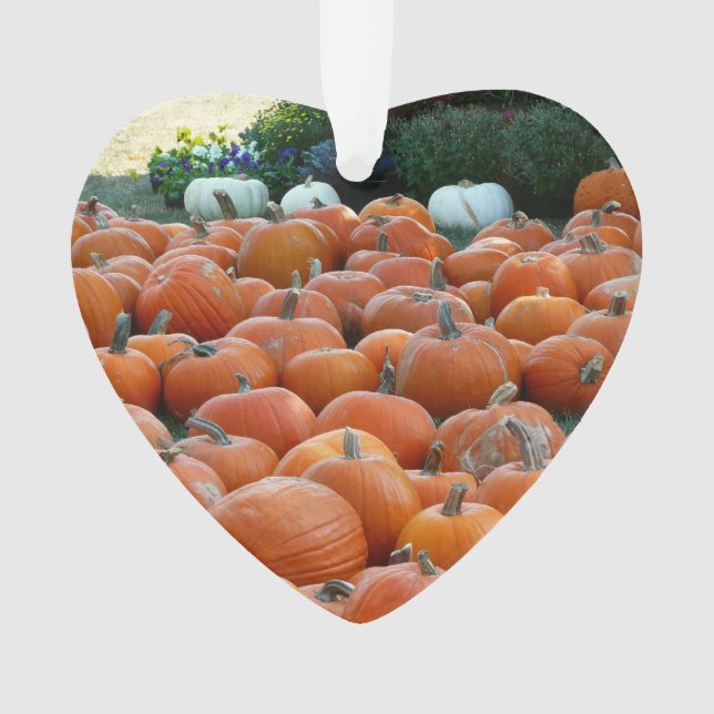Pumpkins and Mums Autumn Harvest Photography Ornament (Front)