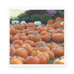 Pumpkins and Mums Autumn Harvest Photography Paper Napkins
