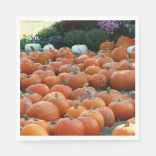 Pumpkins and Mums Autumn Harvest Photography Paper Napkins