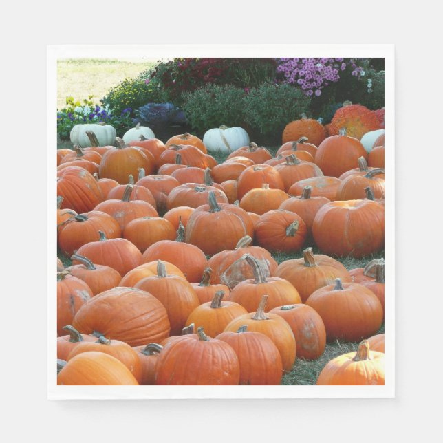 Pumpkins and Mums Autumn Harvest Photography Paper Napkins (Front)