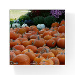 Pumpkins and Mums Autumn Harvest Photography Paperweight