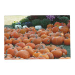 Pumpkins and Mums Autumn Harvest Photography Placemat