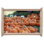 Pumpkins and Mums Autumn Harvest Photography Serving Tray