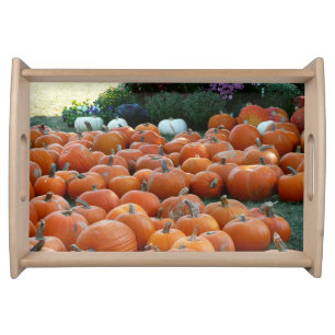 Pumpkins and Mums Autumn Harvest Photography Serving Tray