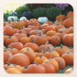Pumpkins and Mums Autumn Harvest Photography Square Paper Coaster