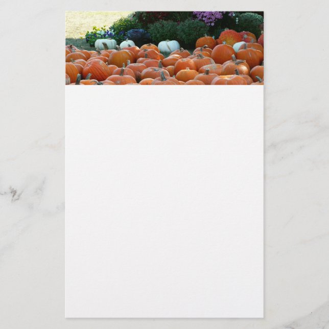 Pumpkins and Mums Autumn Harvest Photography Stationery (Front)
