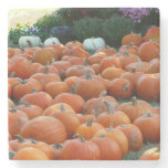 Pumpkins and Mums Autumn Harvest Photography Stone Coaster