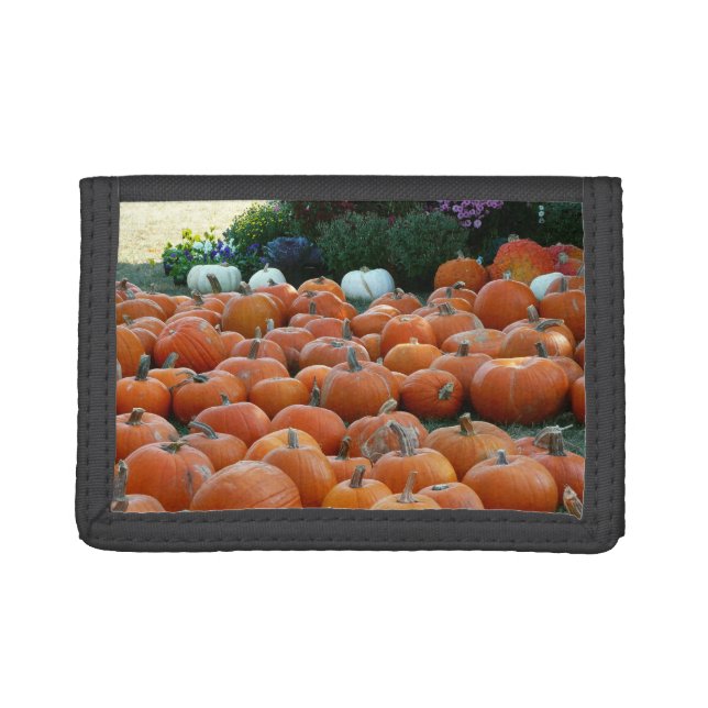 Pumpkins and Mums Autumn Harvest Photography Tri-fold Wallet (Front)