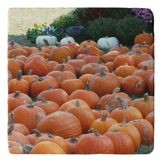 Pumpkins and Mums Autumn Harvest Photography Trivet (Front)