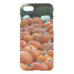 Pumpkins and Mums Autumn Harvest Photography iPhone SE/8/7 Case