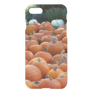Pumpkins and Mums Autumn Harvest Photography iPhone SE/8/7 Case