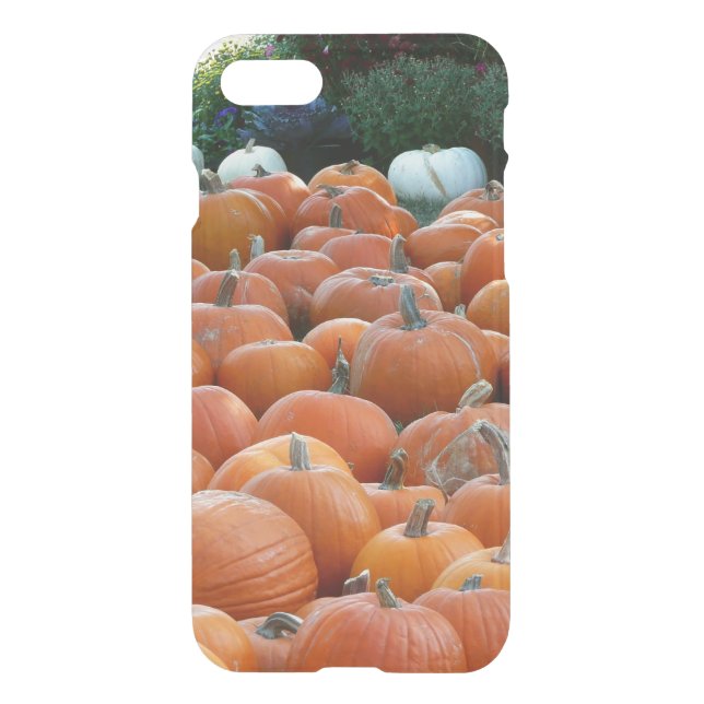 Pumpkins and Mums Autumn Harvest Photography Uncommon iPhone Case (Back)