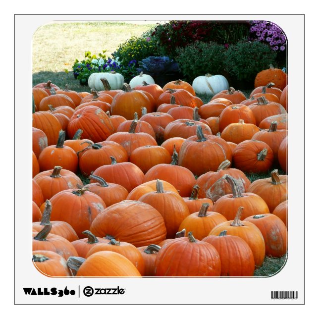 Pumpkins and Mums Autumn Harvest Photography Wall Sticker (Front)