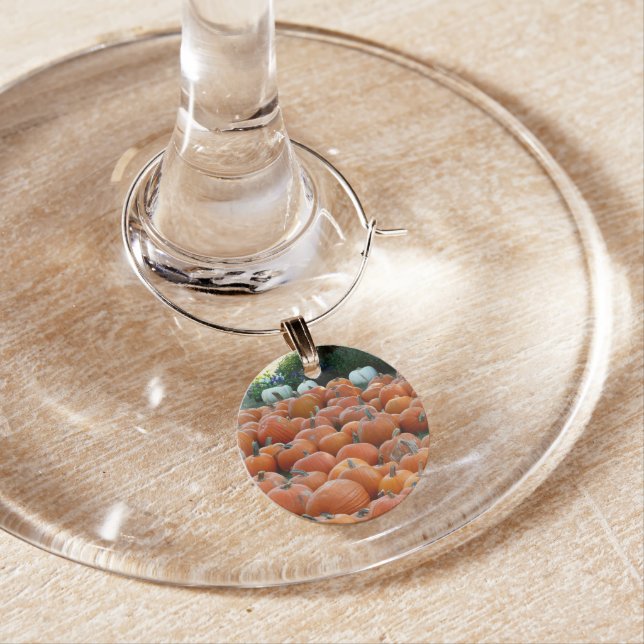 Pumpkins and Mums Autumn Harvest Photography Wine Charm (In Situ)
