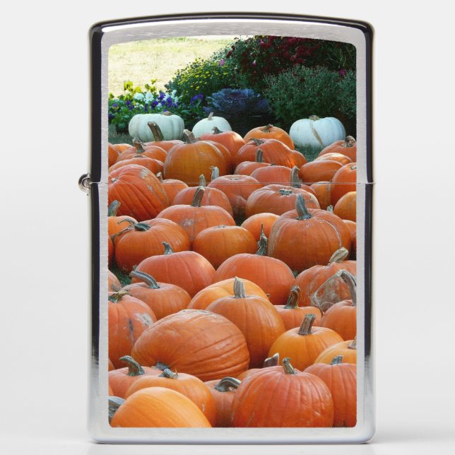 Pumpkins and Mums Autumn Harvest Photography Zippo Lighter (Front)
