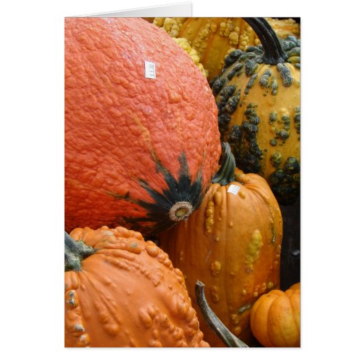 Pumpkins and Squash Cards (Front)