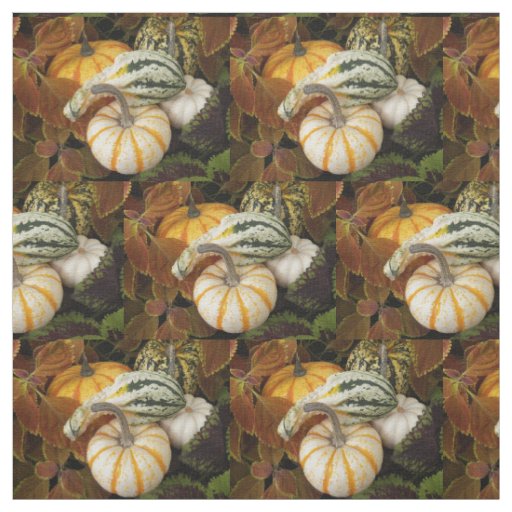 Pumpkins and Squash Still Life Photo Fabric