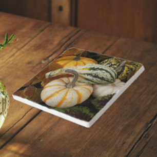Pumpkins and Squash Still Life Photo Trivet
