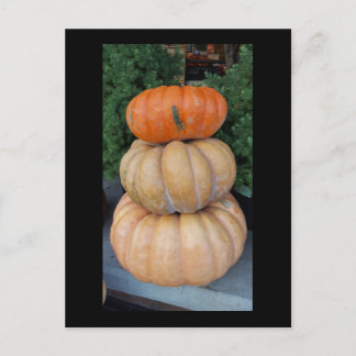 Pumpkins Autumn postcard