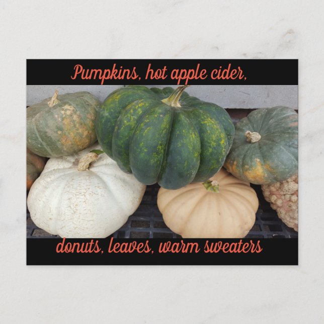 Pumpkins Autumn postcard (Front)