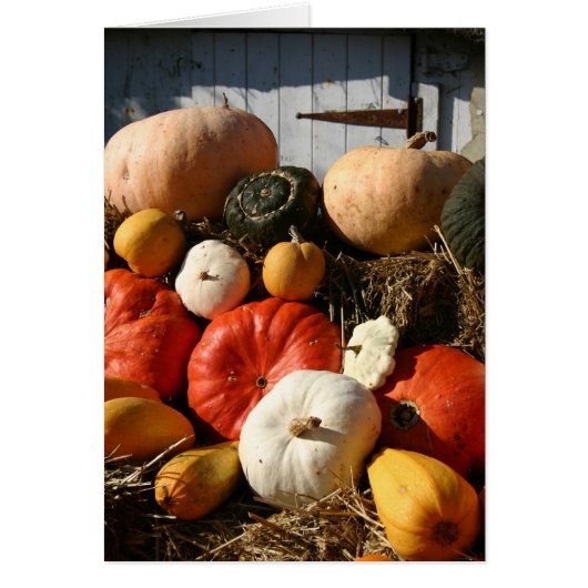 Pumpkins card (Front)