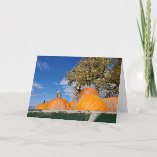Pumpkins Card
