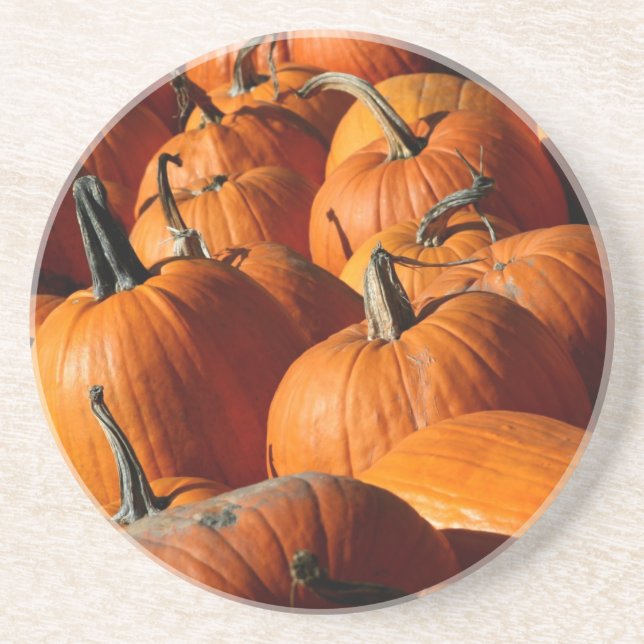Pumpkins Coaster (Front)
