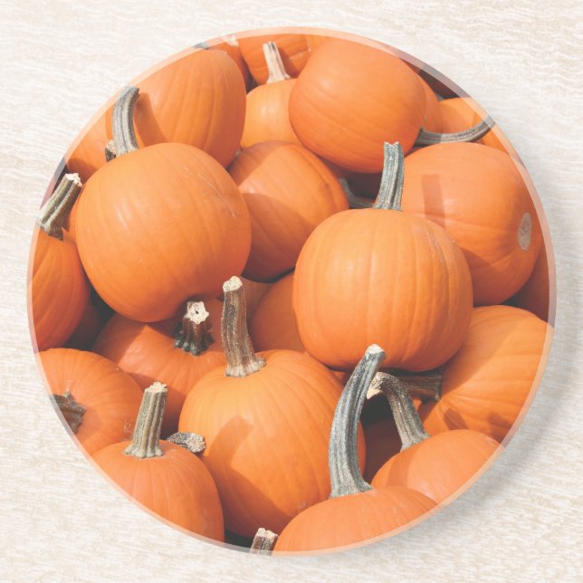 Pumpkins Coaster (Front)