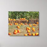 Pumpkins, Corn and Hay Autumn Harvest Photography Canvas Print