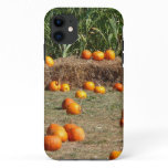 Pumpkins, Corn and Hay Autumn Harvest Photography iPhone 11 Case