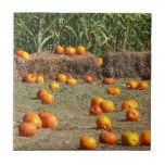 Pumpkins, Corn and Hay Autumn Harvest Photography Ceramic Tile