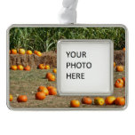 Pumpkins, Corn and Hay Autumn Harvest Photography Christmas Ornament