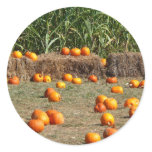 Pumpkins, Corn and Hay Autumn Harvest Photography Classic Round Sticker