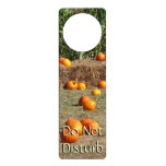 Pumpkins, Corn and Hay Autumn Harvest Photography Door Hanger
