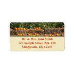 Pumpkins, Corn and Hay Autumn Harvest Photography Label