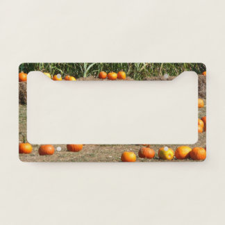 Pumpkins, Corn and Hay Autumn Harvest Photography License Plate Frame