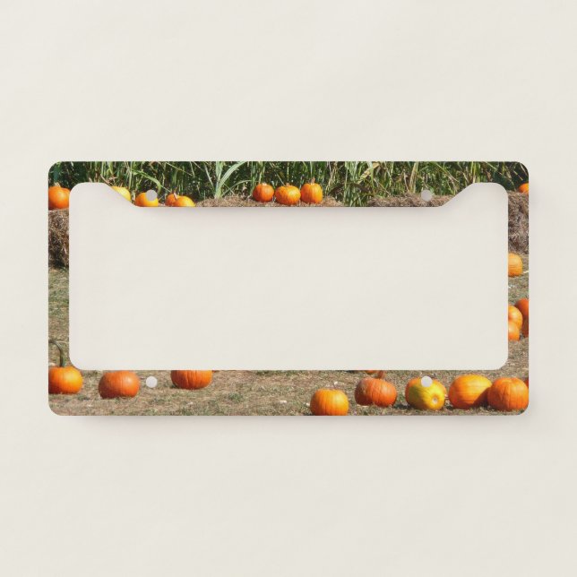 Pumpkins, Corn and Hay Autumn Harvest Photography License Plate Frame (Front)