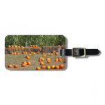 Pumpkins, Corn and Hay Autumn Harvest Photography Luggage Tag