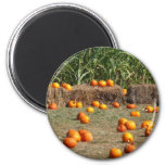Pumpkins, Corn and Hay Autumn Harvest Photography Magnet