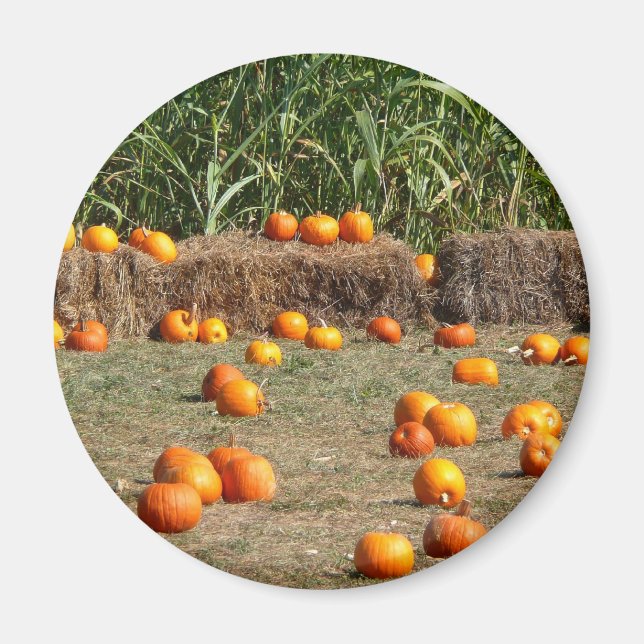 Pumpkins, Corn and Hay Autumn Harvest Photography Magnet (Front)