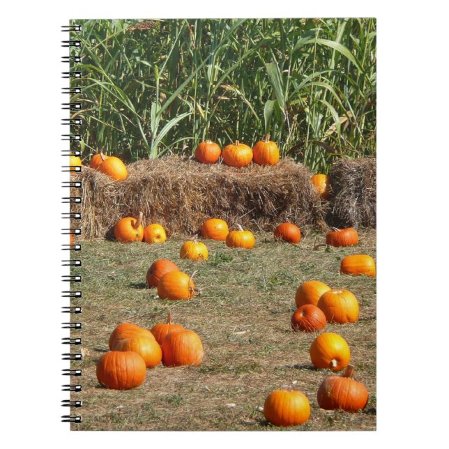 Pumpkins, Corn and Hay Autumn Harvest Photography Notebook (Front)