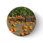 Pumpkins, Corn and Hay Autumn Harvest Photography Pinback Button