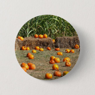 Pumpkins, Corn and Hay Autumn Harvest Photography Pinback Button