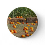 Pumpkins, Corn and Hay Autumn Harvest Photography Pinback Button