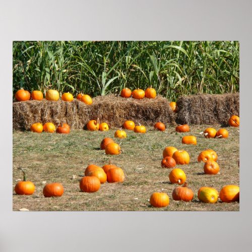 Pumpkins Corn and Hay Autumn Harvest Photography Poster